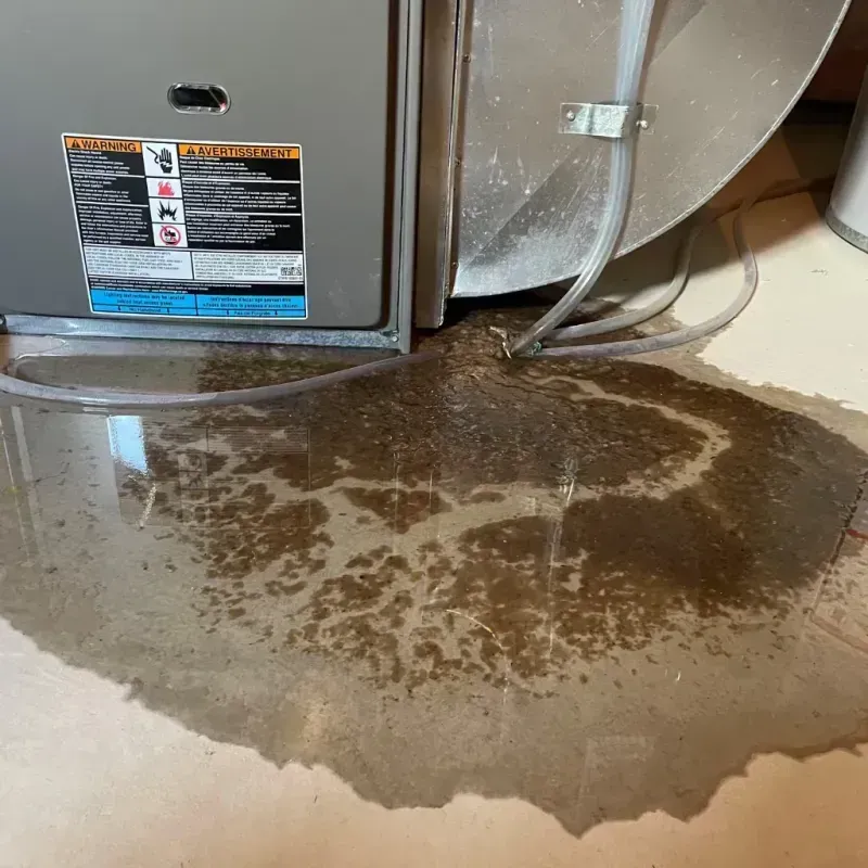 Appliance Leak Cleanup in White Hall, AR